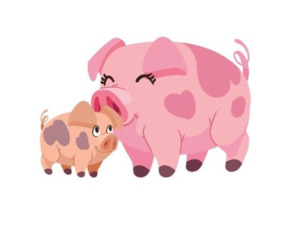 Con số trúng thưởng tuổi Hợi ngày 13/11/2024 thứ 4 hôm nay Con số trúng thưởng tuổi Hợi ngày 13/11/2024 thứ 4 hôm nay