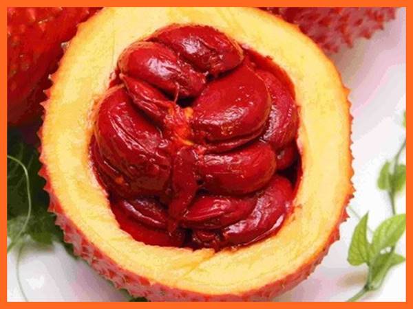 Mơ thấy quả gấc là điềm báo tốt hay xấu? Đánh con gì